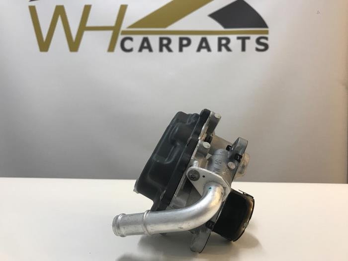 EGR Klep Volkswagen Golf