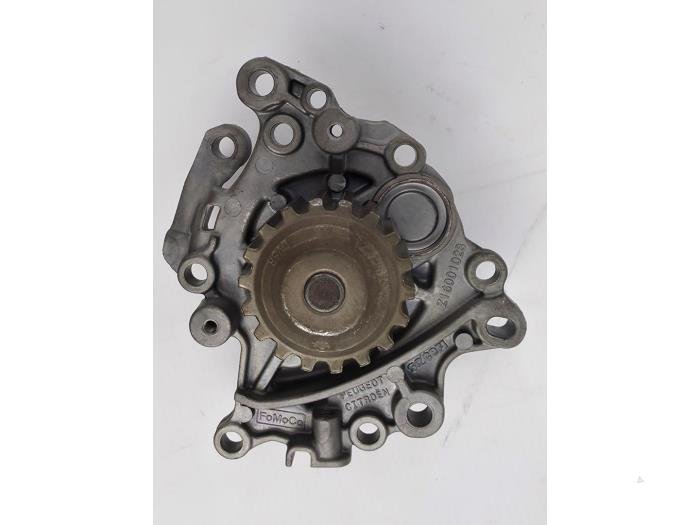 Waterpomp Ford Transit Connect