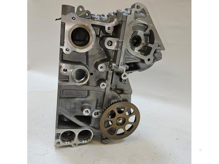 Cilinderkop Ford Focus