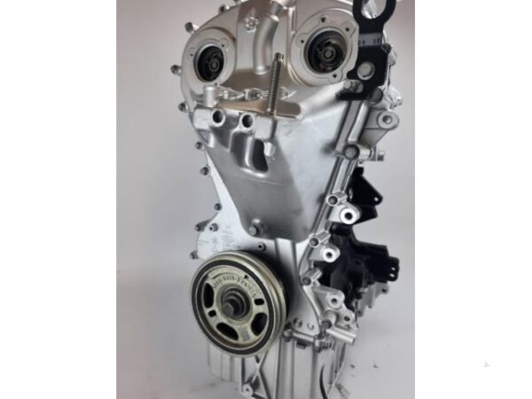 Motor Ford Puma