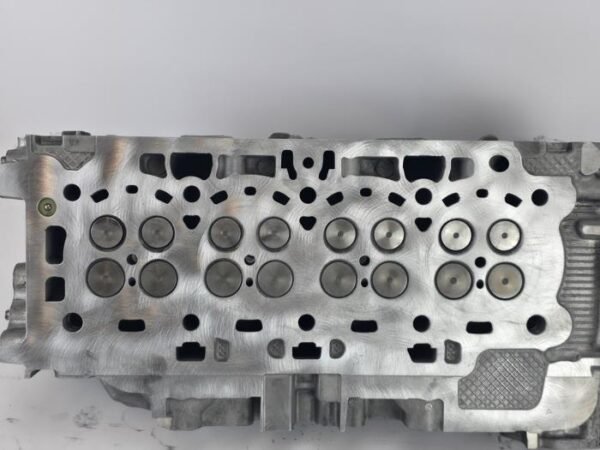 Cilinderkop Ford Transit Connect