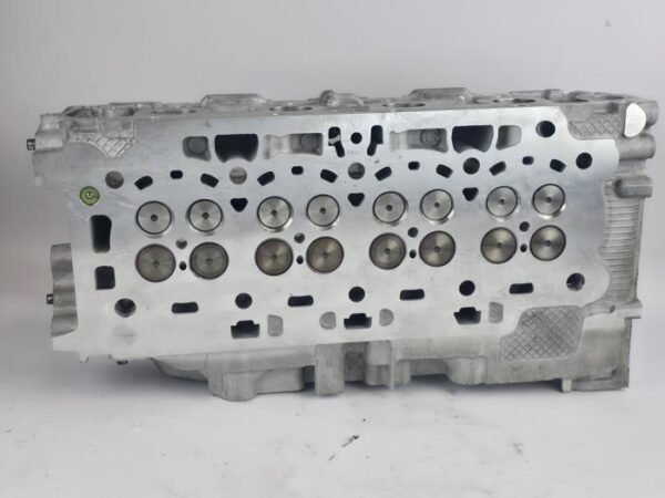 Cilinderkop Ford Transit Connect