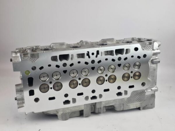 Cilinderkop Ford Transit Connect