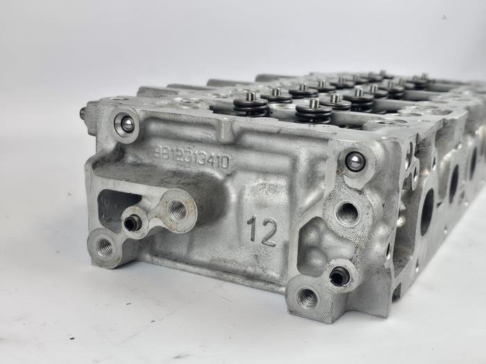 Cilinderkop Ford Transit Connect