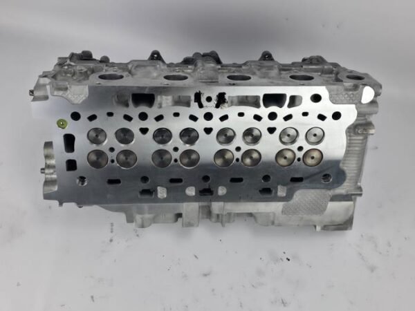 Cilinderkop Ford Transit Connect