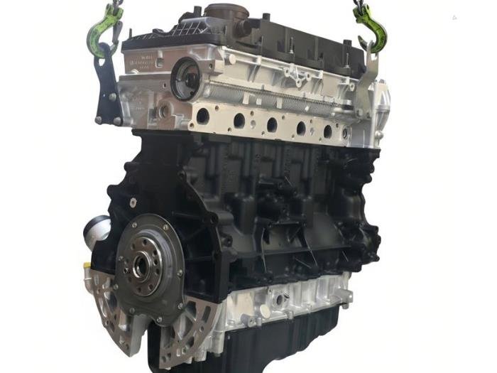 Motor 3.2 TDCi Ford Ranger 5MSD OEM Gereviseerd RFBK3Q6015BE