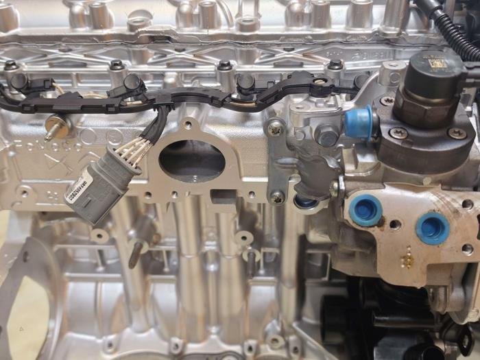 Motor 1.5 Diesel Ford Transit Connect Z2GA OEM Gereviseerd 9812313410