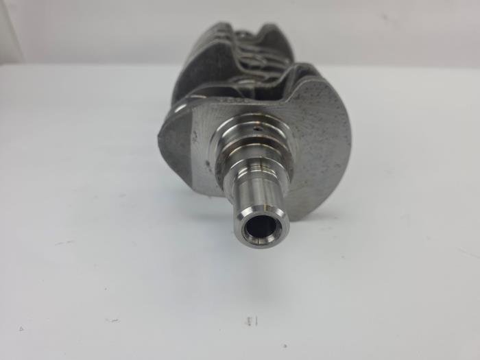 Krukas 1.2 MultiJet Fiat Opel Lancia Panda 169A1000 OEM Nieuw 55200307 0501N7