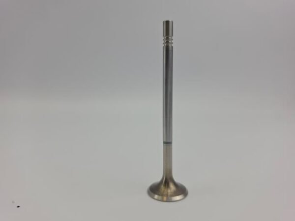 Uitlaatklep BlueTEC Mercedes Mercedes-Benz C-Klasse 642920 OEM Nieuw A6420500727